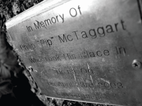 Memorial plaque screwed to a tree marking a suicide
