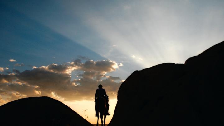 Silhouette of person riding a donkey against bright sky