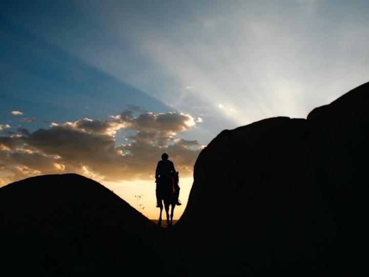 Silhouette of person riding a donkey against bright sky