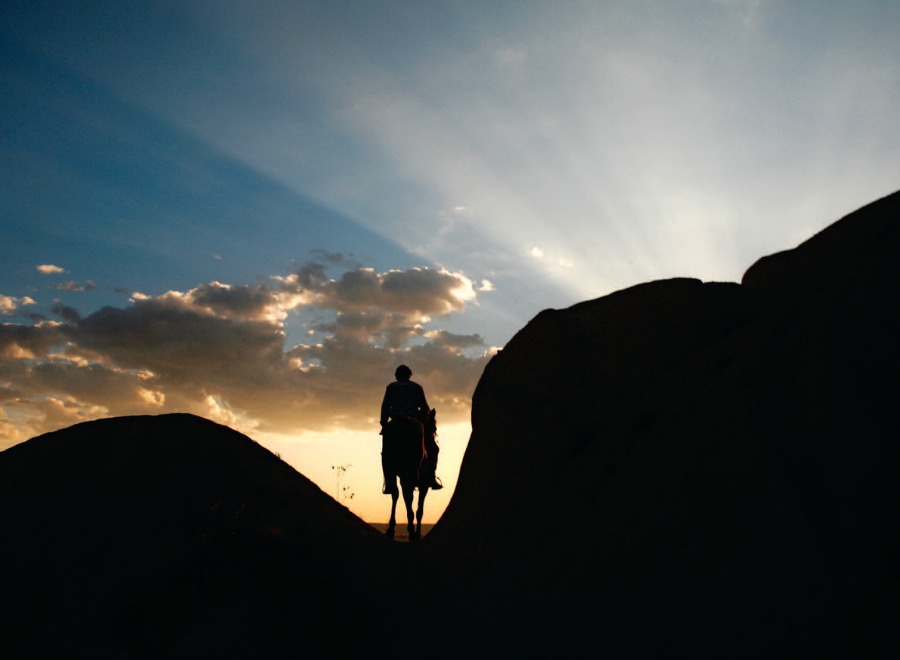 Silhouette of person riding a donkey against bright sky