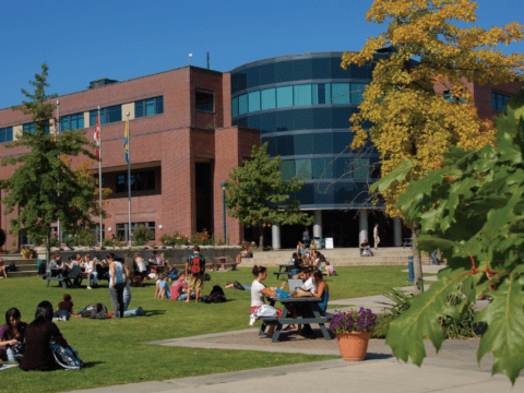 University campus scene in summer