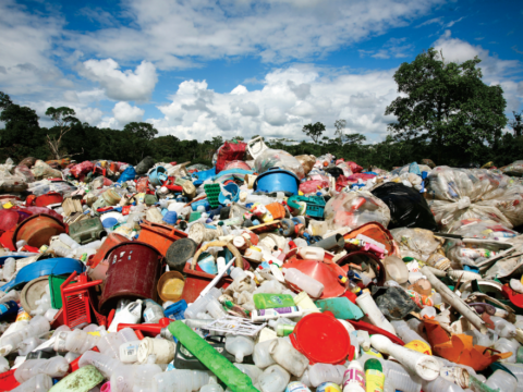 Trash at landfill site
