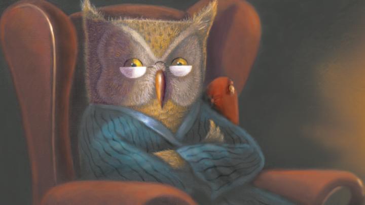 Illustration of owl dressed in bathrobe sitting in high-backed chair