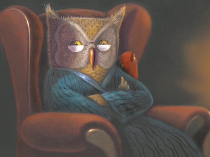 Illustration of owl dressed in bathrobe sitting in high-backed chair