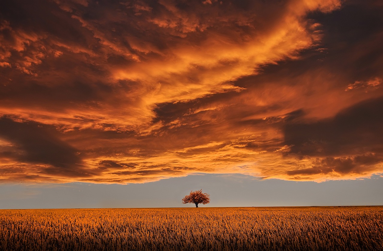 Photo courtesy Pixabay