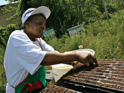 Black woman planting seeds
