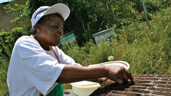 Black woman planting seeds