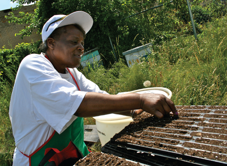 Black woman planting seeds