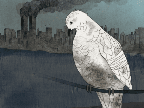 Illustration of dove in front of burning city