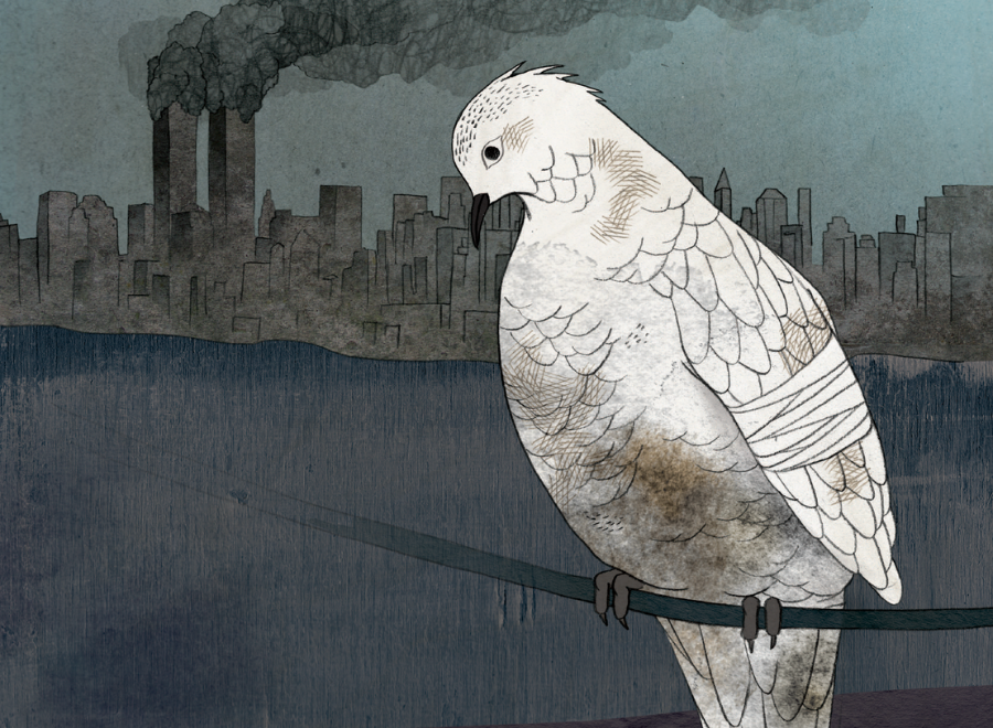 Illustration of dove in front of burning city