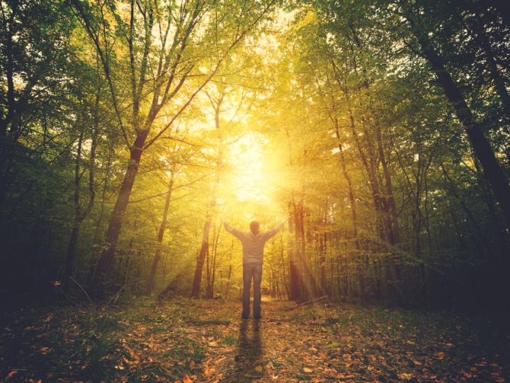 person standing in woods as sun rises
