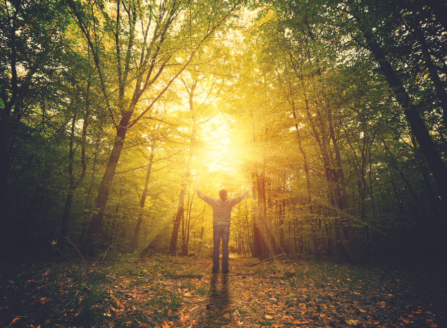 person standing in woods as sun rises