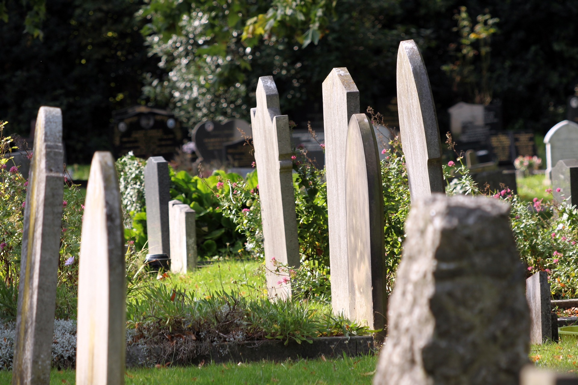 Writer Trisha Elliott says death denial is a mainstay of her work as a United Church minister. (Photo courtesy Pixabay)