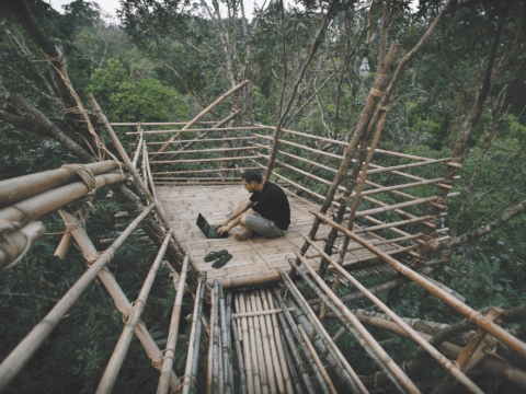 Man sitting on wooden platform in jungle working on laptop