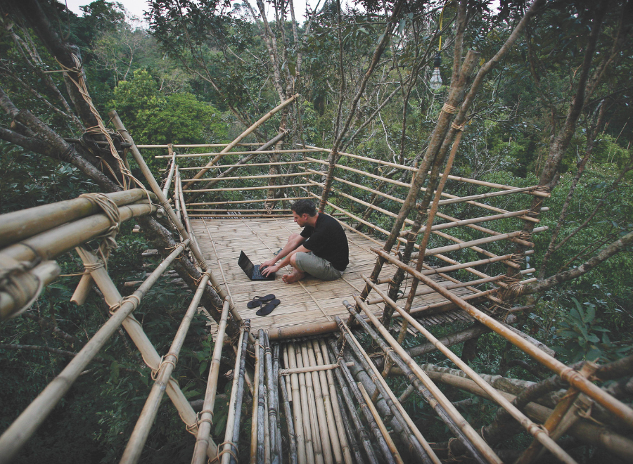 Man sitting on wooden platform in jungle working on laptop