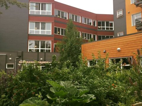Wolf Willow cohousing in Saskatoon. (Photo: Wolf Willow Cohousing/Facebook)