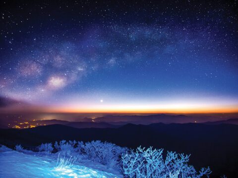 iStock.com/tawatchaiprakobkit