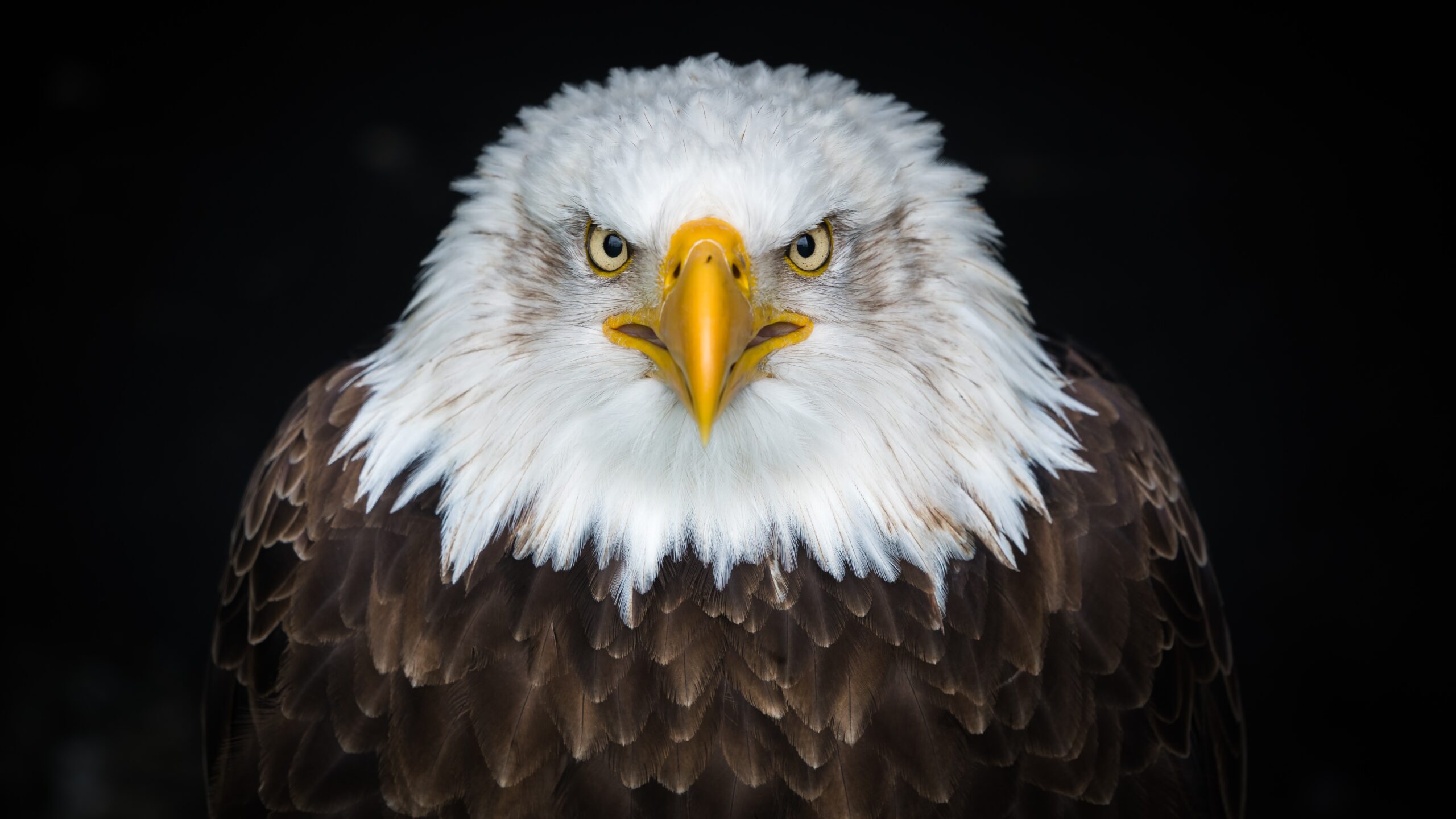 Photo by Patrick Brinksma on Unsplash