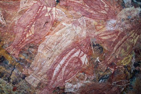 X-ray paintings of barramundi (Asian sea bass) at Kakadu National Park. Photo by Universal Images Group North America LLC/DeAgostini/Alamy Stock Photo