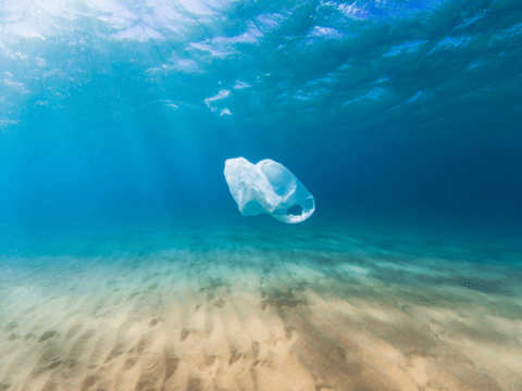 Photo: iStock.com