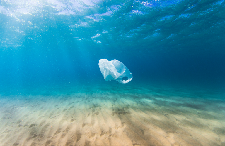Photo: iStock.com
