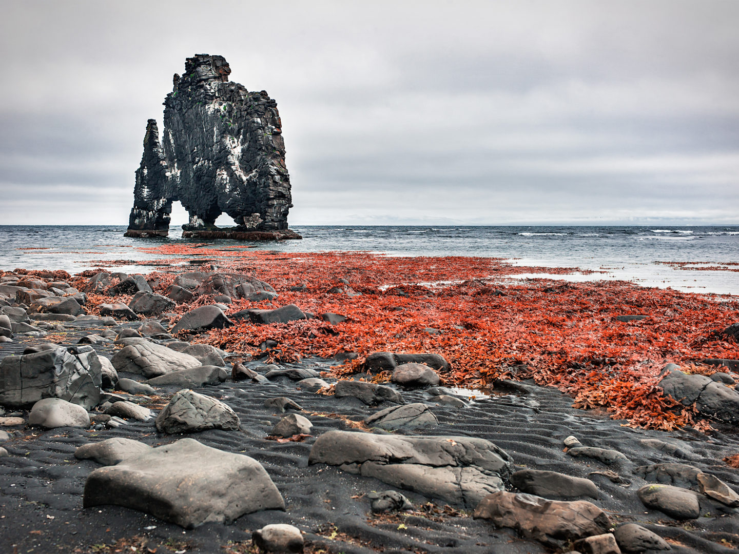 Photo: Liz Glasco/Shutterstock.com