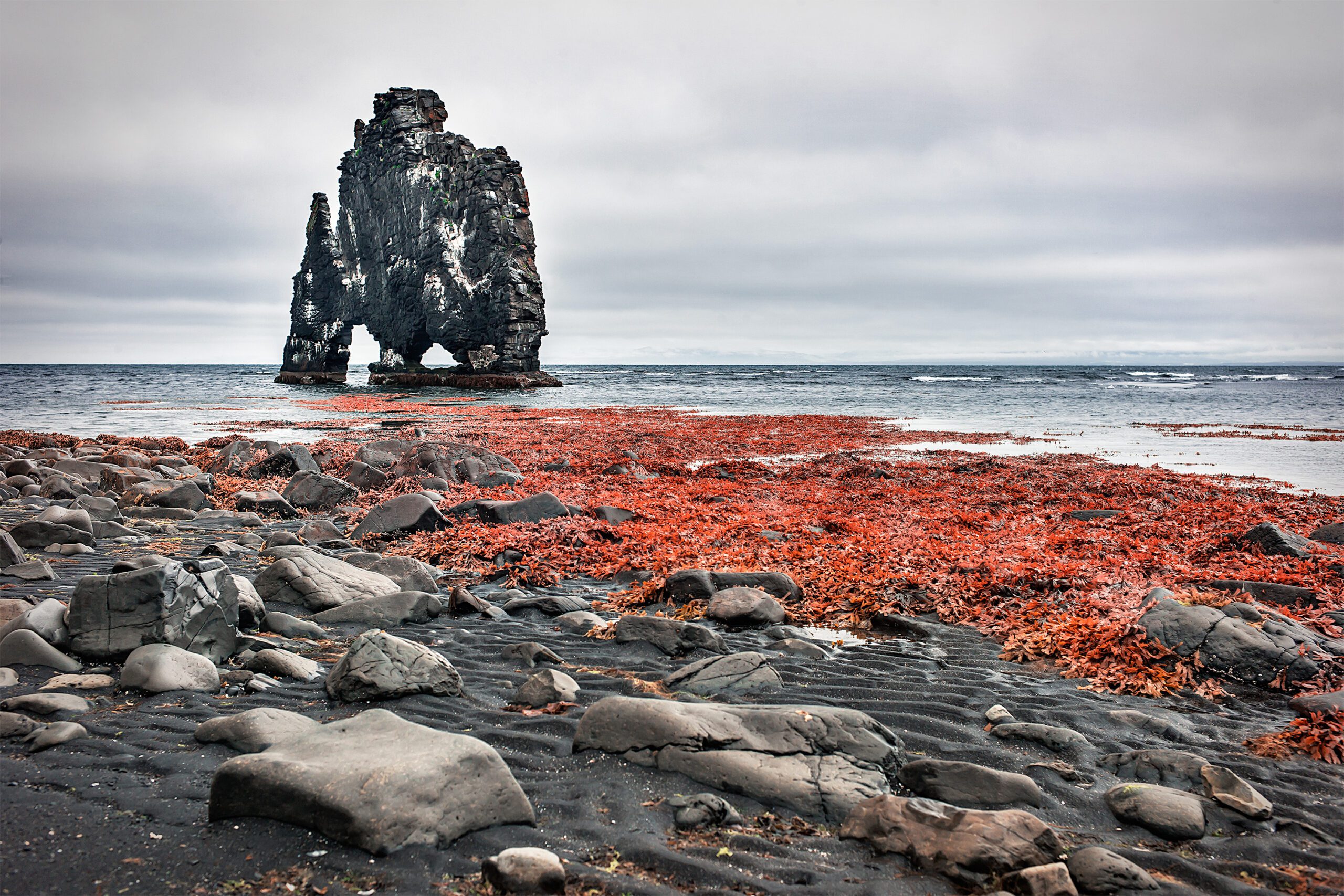 Photo: Liz Glasco/Shutterstock.com