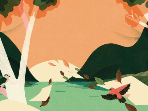 Illustration by Jeannie Phan