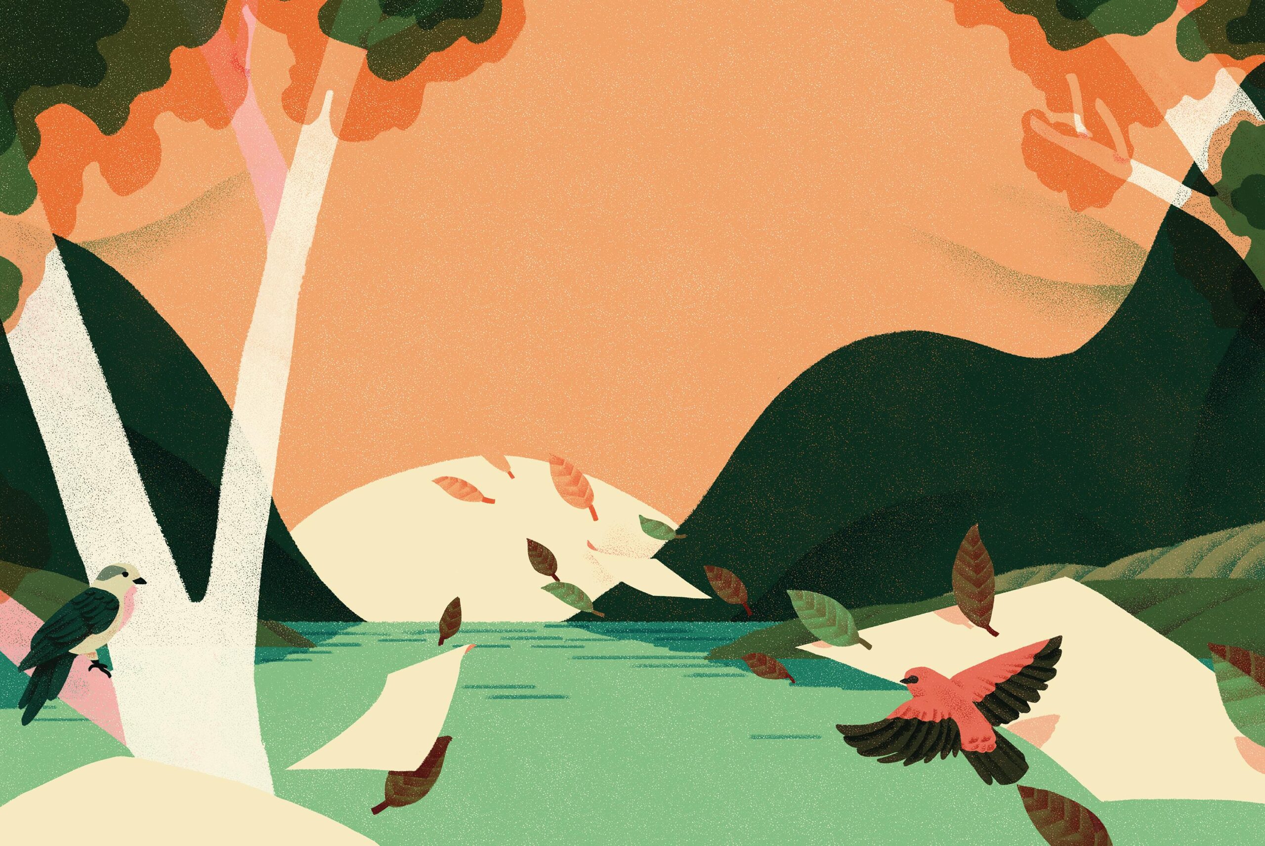 Illustration by Jeannie Phan