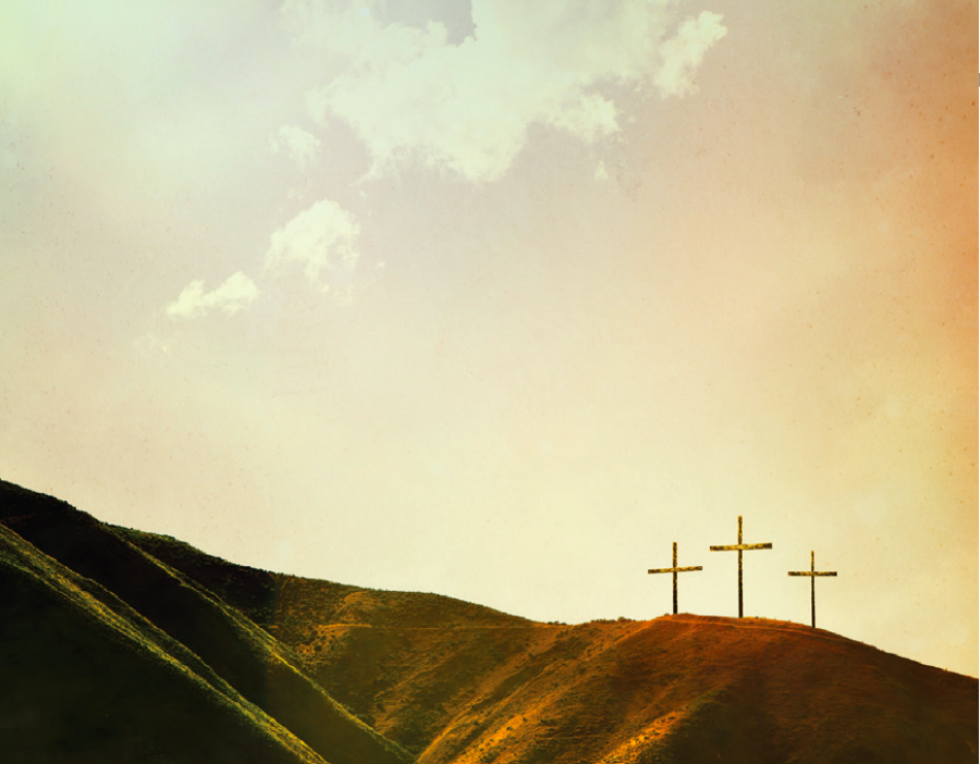Photo: iStock.com