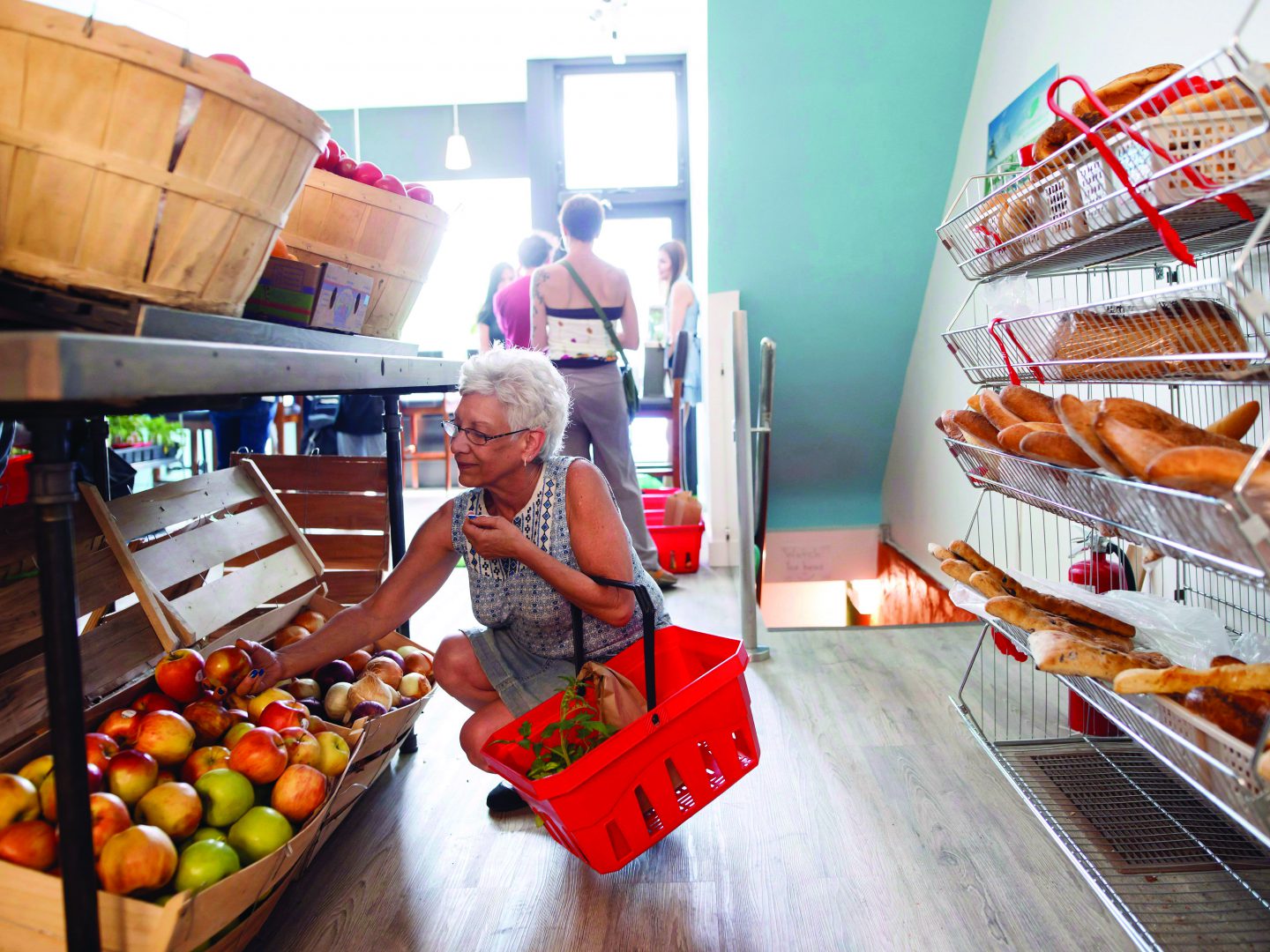 feed it forward grocery store Toronto