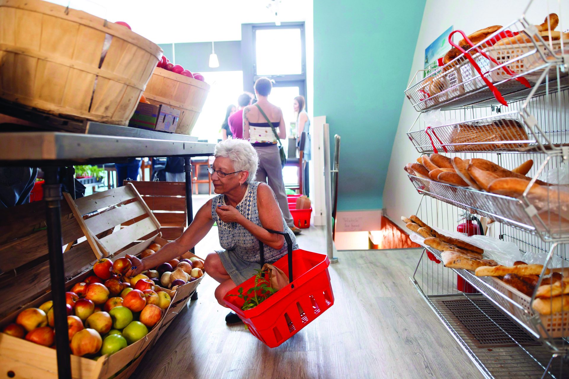 feed it forward grocery store Toronto