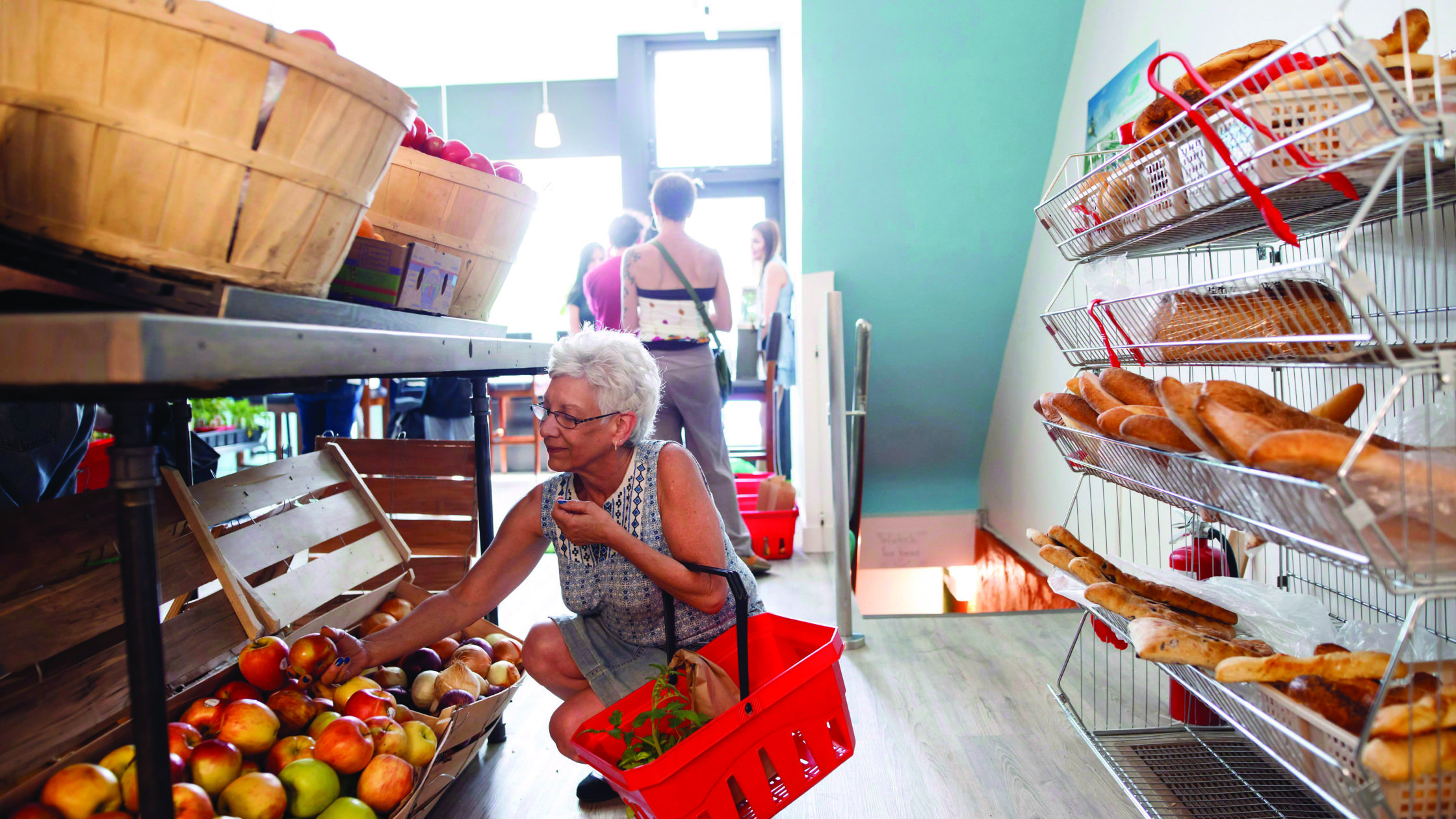 feed it forward grocery store Toronto