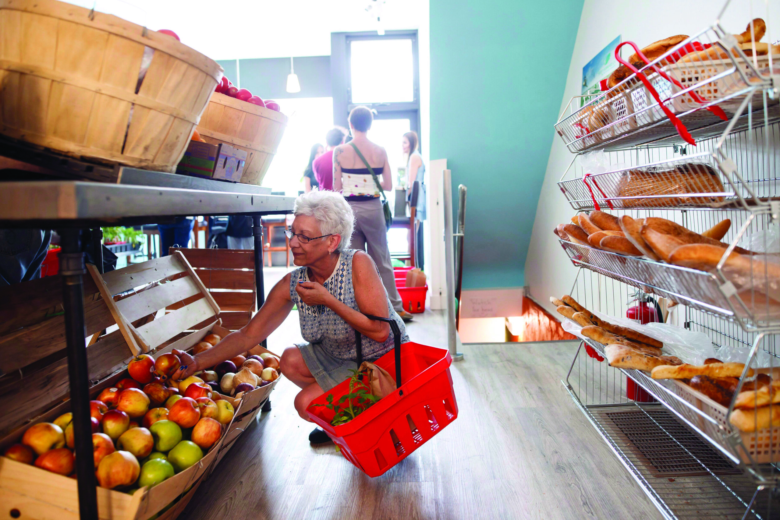 feed it forward grocery store Toronto