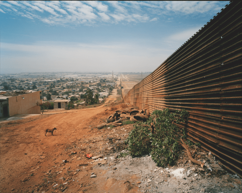 Ecological impact of Trump's border wall | Broadview Magazine