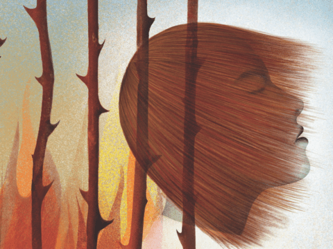 Illustration by Sandra Dionisi.