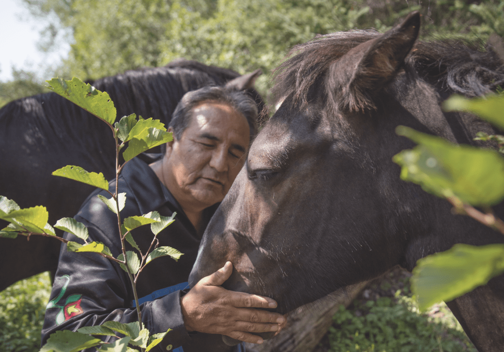 Lac La Croix pony saved from extinction by the Ojibwe Broadview Magazine