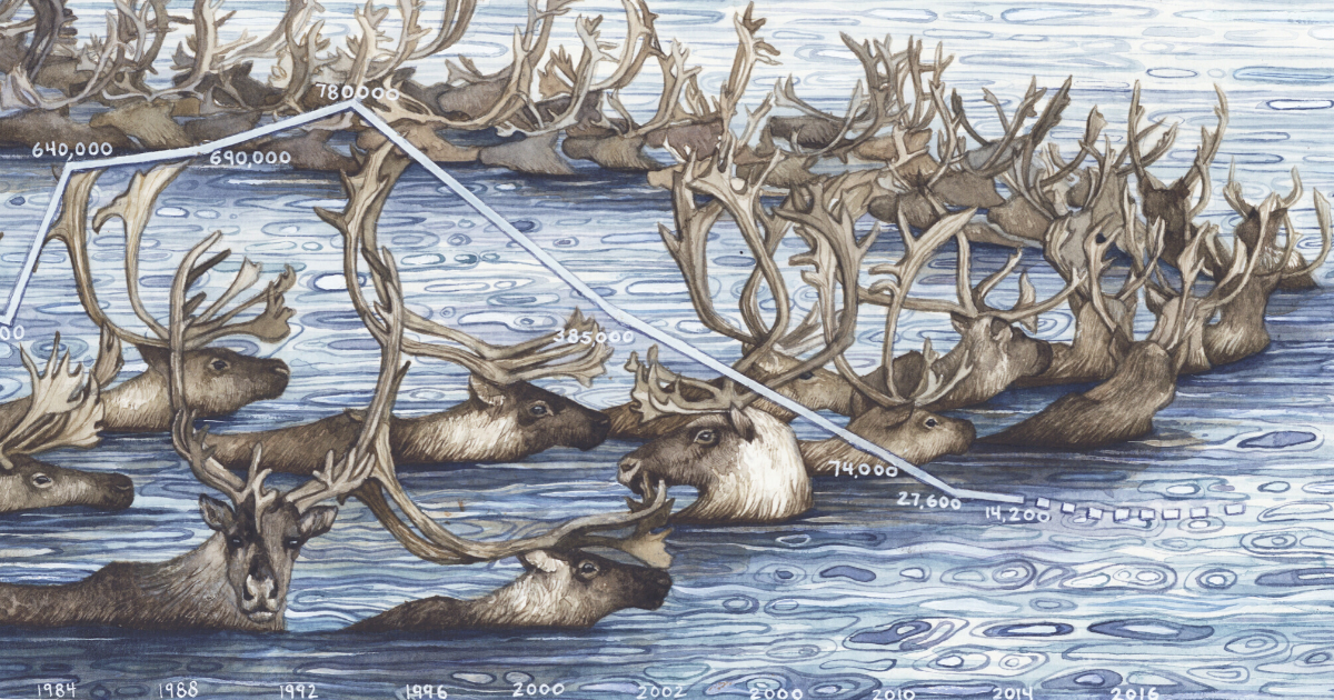 Jill Pelto's art depicts climate change in way data can't Broadview