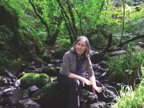 This is a photo of Diana Beresford-Kroeger, the subject of this article.