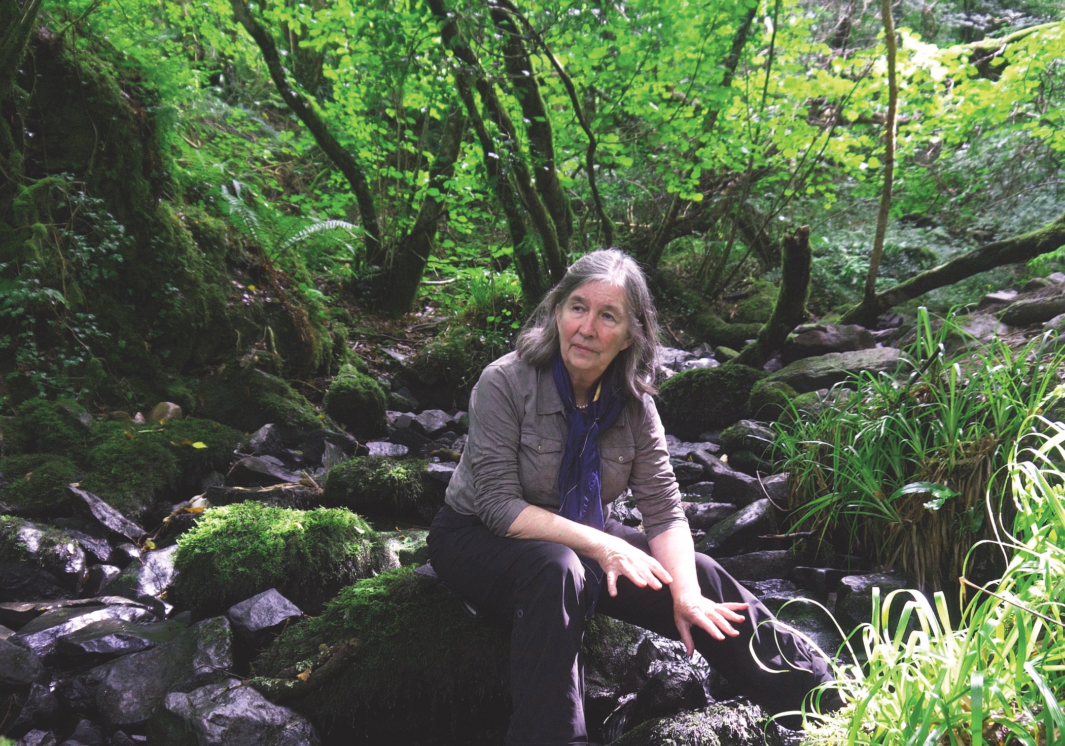 This is a photo of Diana Beresford-Kroeger, the subject of this article.