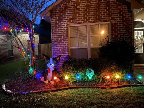 Holiday lights