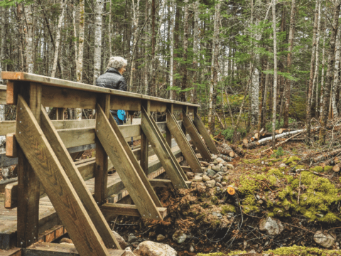 Red Island Trail