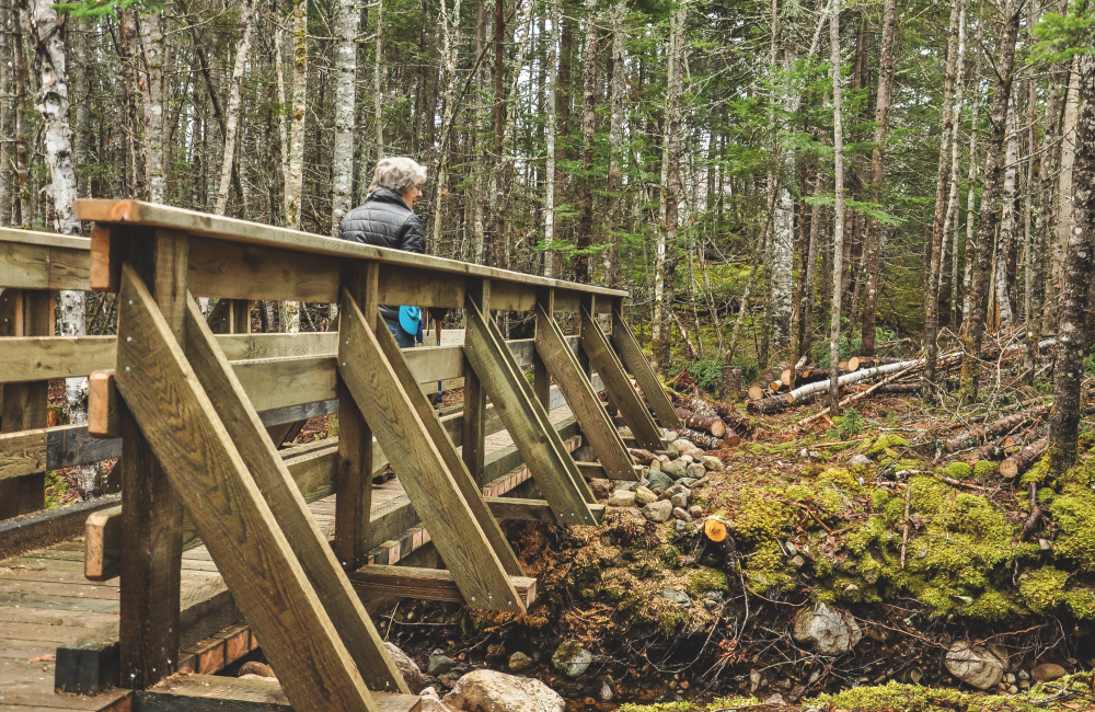 Red Island Trail