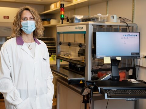Lab