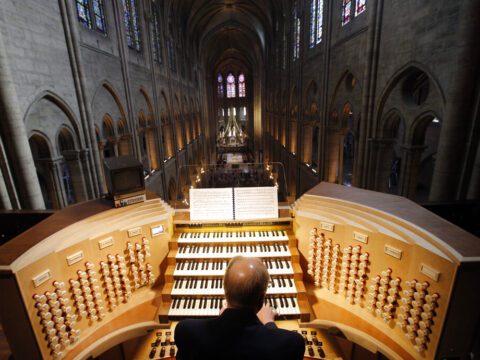 Organ