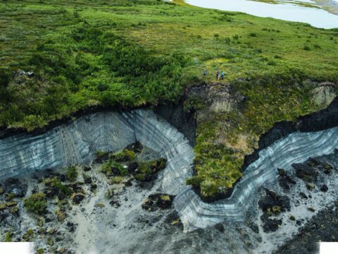 Coastline