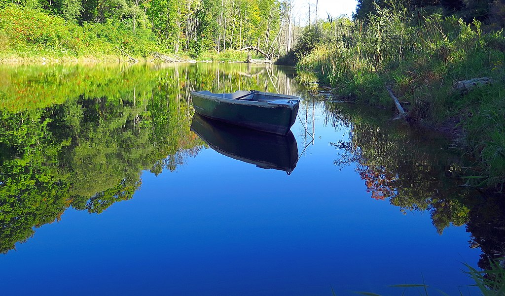 Conservation Ontario Gm Worries New Bill Puts Environment At Risk 