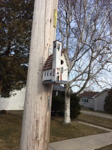 A white birdhouse shaped like a church is seen on a telephone pole.