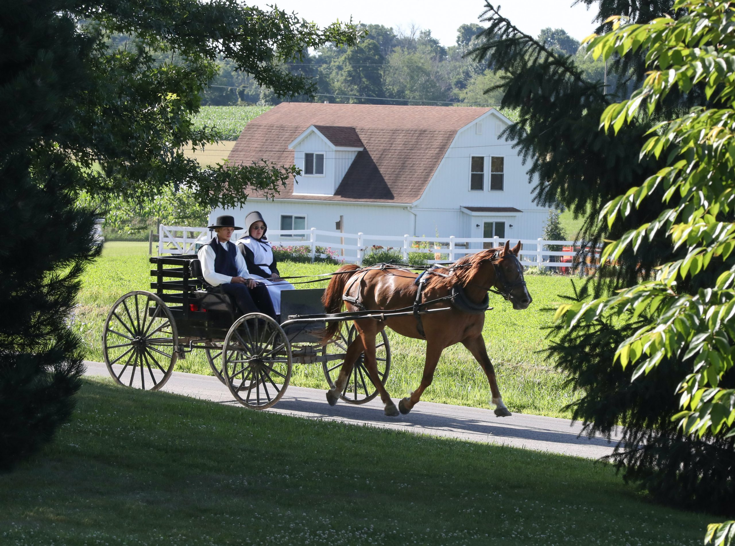 With an audience that lives offline, Amish newspapers are going gangbusters  | Broadview Magazine