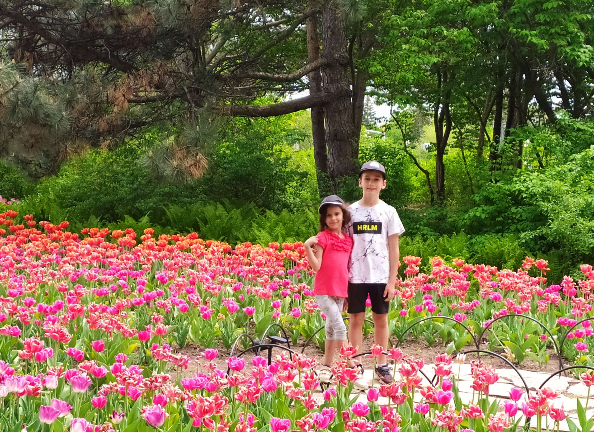 Timur and Liana stand in a bed of pink tulips